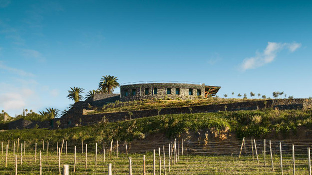 La primera bodega autosuficiente energéticamente de Canarias gracias a Chint Electrics