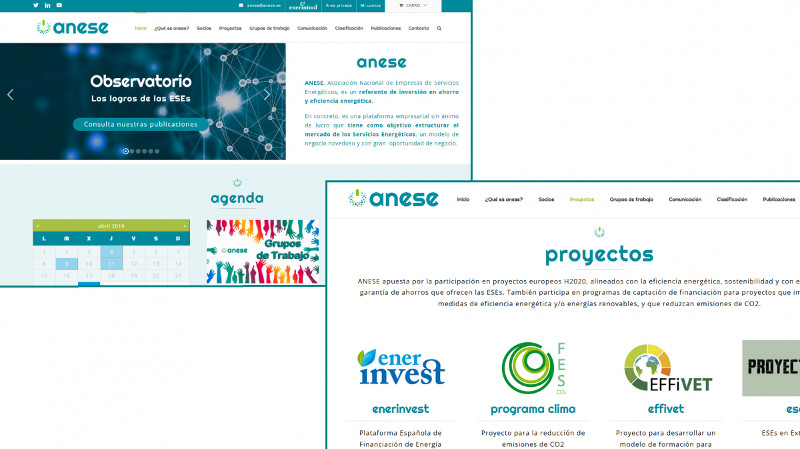 ANESE presenta su nueva página web orientada a ser un referente informativo para las ESEs
