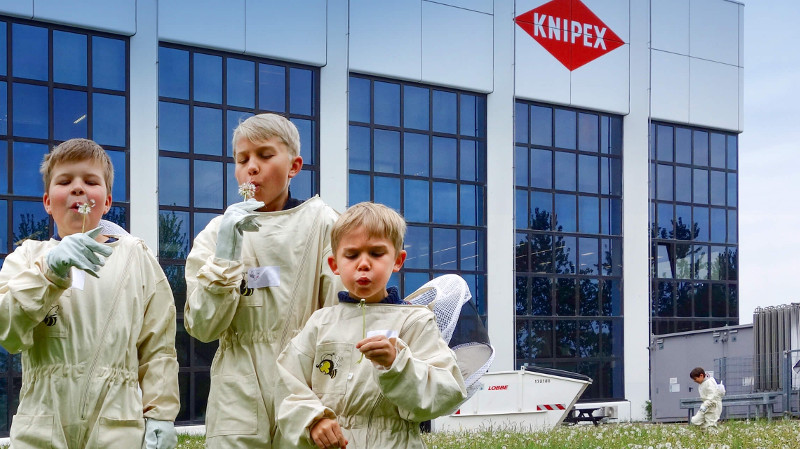 KNIPEX se han fijado el objetivo de reducir el uso de energía en un 20%