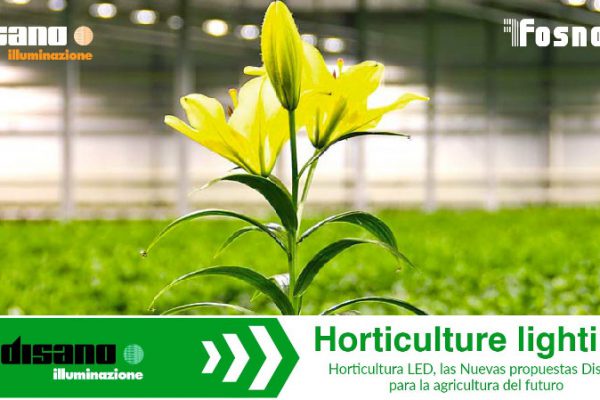 Disano aporta innovacion en la iluminacion para la horticultura