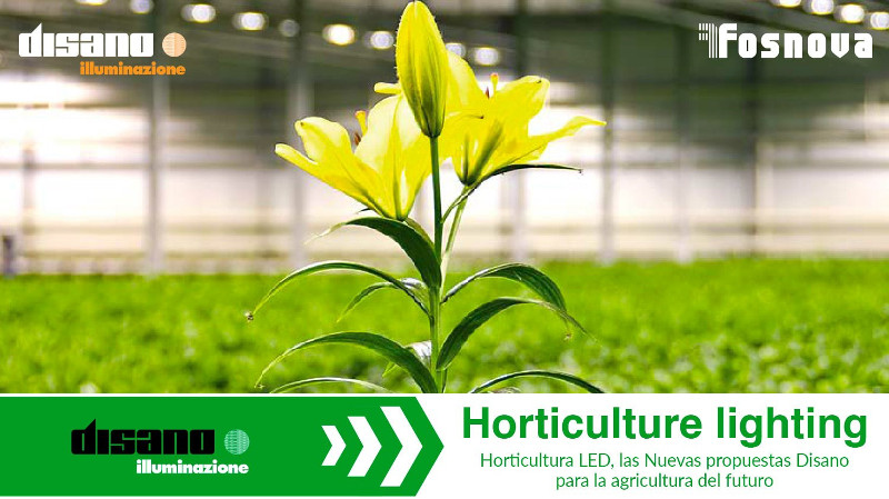Disano aporta innovación en la iluminación para la horticultura