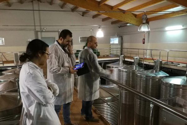 El proyecto I+D RETASTELED logra combatir el gusto de luz en los vinos