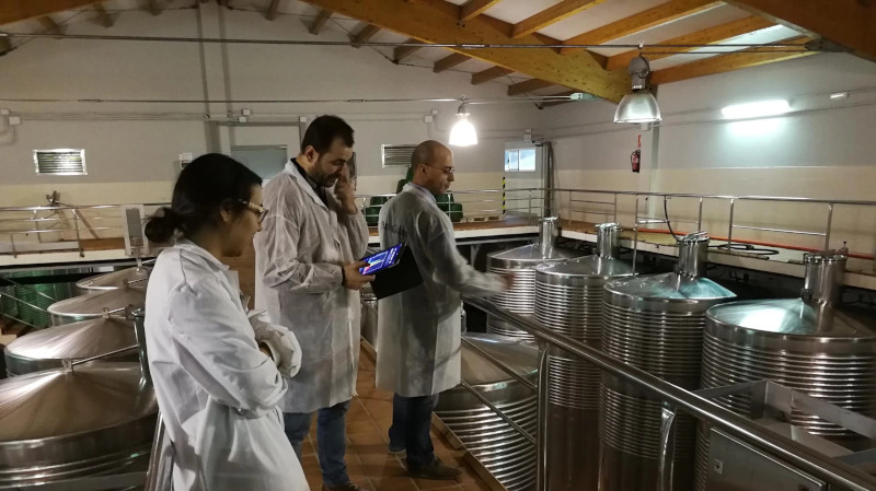 El proyecto I+D RETASTELED logra combatir el gusto de luz en los vinos 